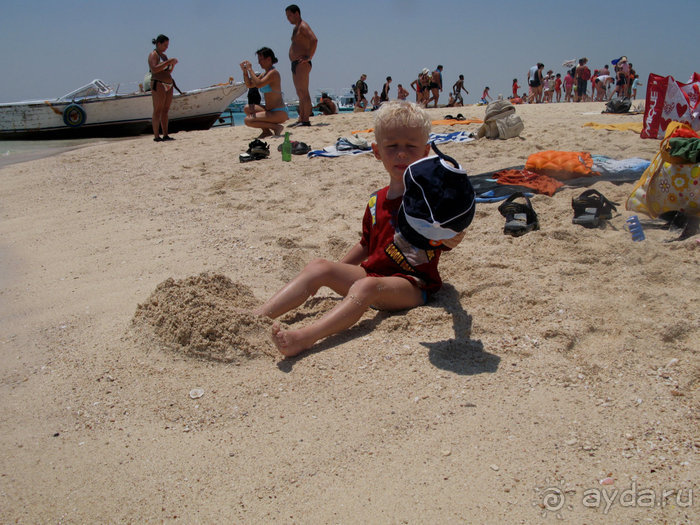 Альбом отзыва "Отдых с детьми в любое время года -hotel "Albatros Resort""