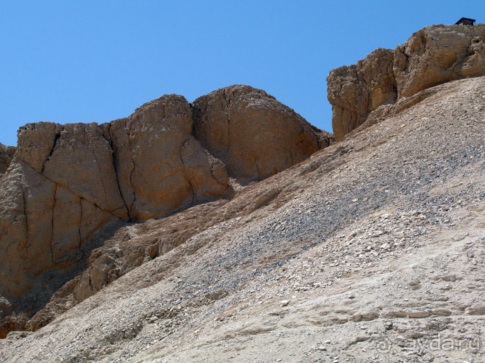 Альбом отзыва "Отдых с детьми в любое время года -hotel "Albatros Resort""