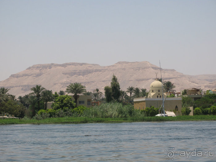 Альбом отзыва "Отдых с детьми в любое время года -hotel "Albatros Resort""