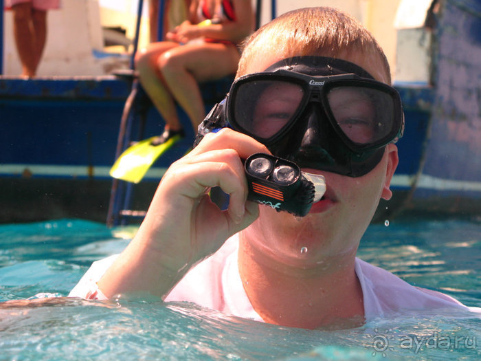 Альбом отзыва "Отдых с детьми в любое время года -hotel "Albatros Resort""