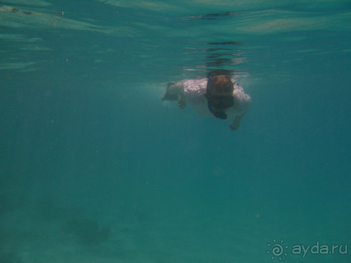 Альбом отзыва "Отдых с детьми в любое время года -hotel "Albatros Resort""