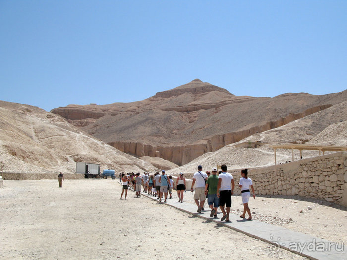 Альбом отзыва "Отдых с детьми в любое время года -hotel "Albatros Resort""