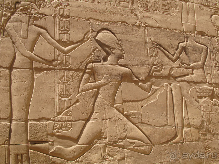 Альбом отзыва "Отдых с детьми в любое время года -hotel "Albatros Resort""