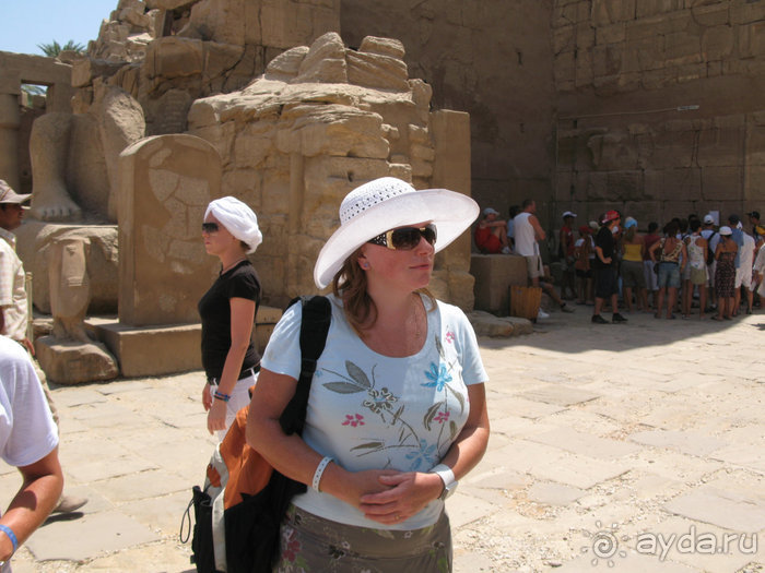 Альбом отзыва "Отдых с детьми в любое время года -hotel "Albatros Resort""