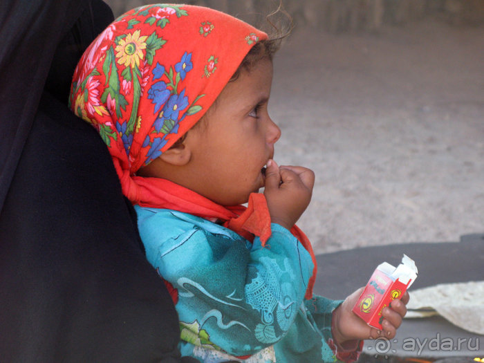 Альбом отзыва "Отдых с детьми в любое время года -hotel "Albatros Resort""