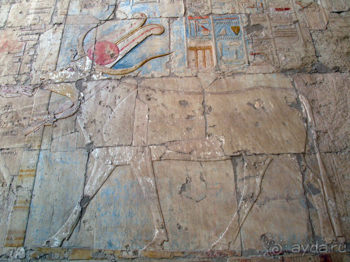 Альбом отзыва "Отдых с детьми в любое время года -hotel "Albatros Resort""