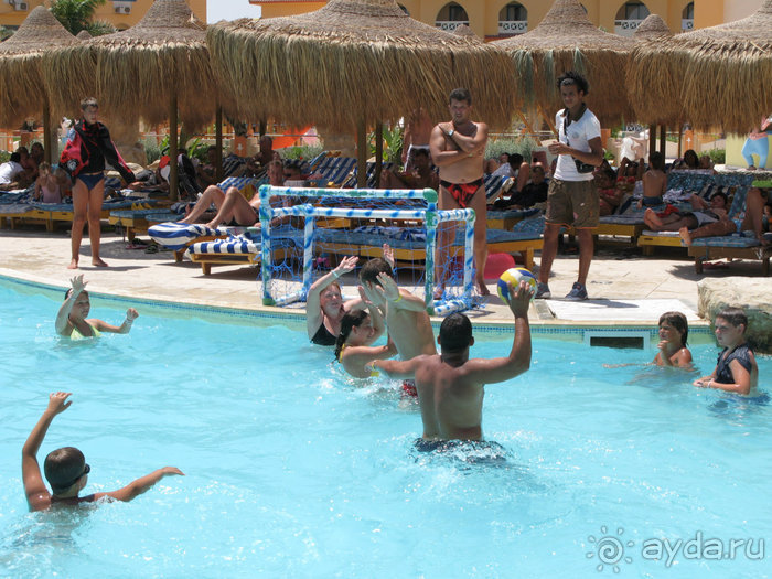 Альбом отзыва "Отдых с детьми в любое время года -hotel "Albatros Resort""