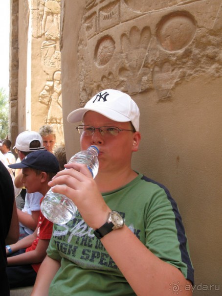 Альбом отзыва "Отдых с детьми в любое время года -hotel "Albatros Resort""