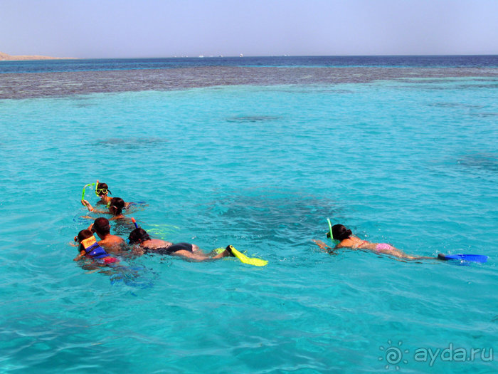 Альбом отзыва "Отдых с детьми в любое время года -hotel "Albatros Resort""