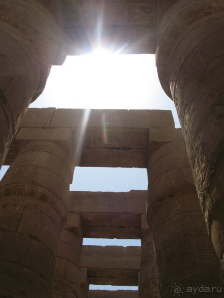 Альбом отзыва "Отдых с детьми в любое время года -hotel "Albatros Resort""