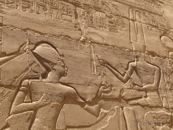 Альбом отзыва "Отдых с детьми в любое время года -hotel "Albatros Resort""