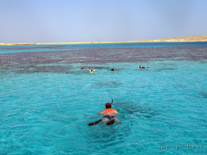 Альбом отзыва "Отдых с детьми в любое время года -hotel "Albatros Resort""