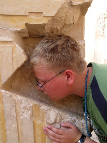 Альбом отзыва "Отдых с детьми в любое время года -hotel "Albatros Resort""