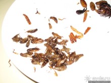 Вечерний тур на велосипедах и местные деликатесы.