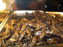 Вечерний тур на велосипедах и местные деликатесы.