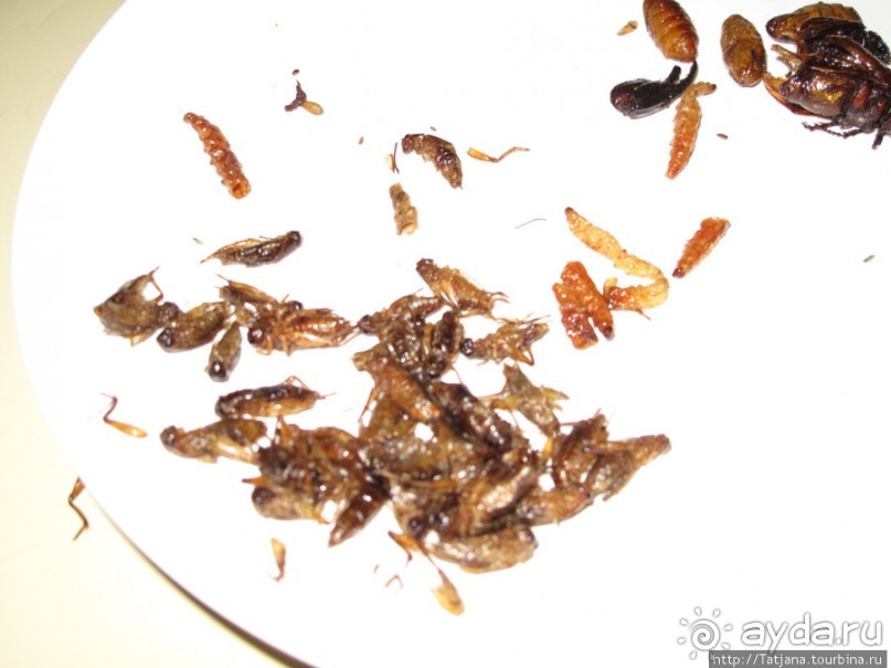 Вечерний тур на велосипедах и местные деликатесы.