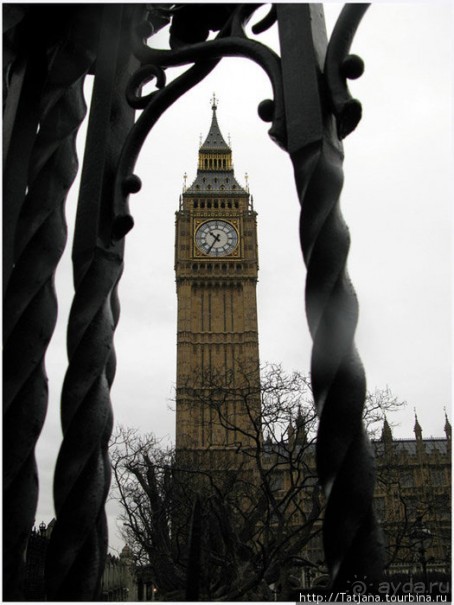 А также огни ночного Лондона, дождь и пеликан...