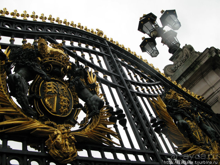 А также огни ночного Лондона, дождь и пеликан...