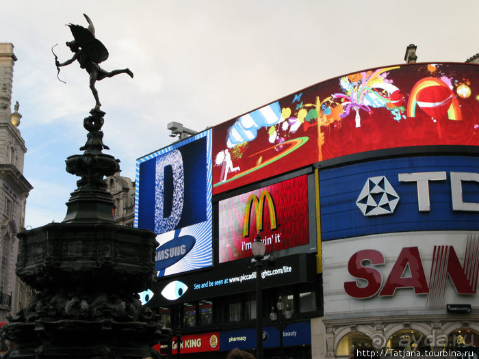 А также огни ночного Лондона, дождь и пеликан...