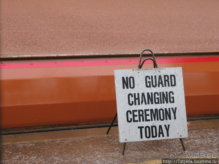 А также огни ночного Лондона, дождь и пеликан...