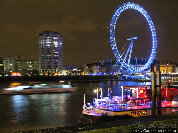 А также огни ночного Лондона, дождь и пеликан...