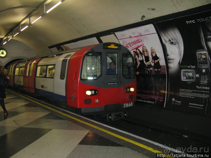 А также огни ночного Лондона, дождь и пеликан...