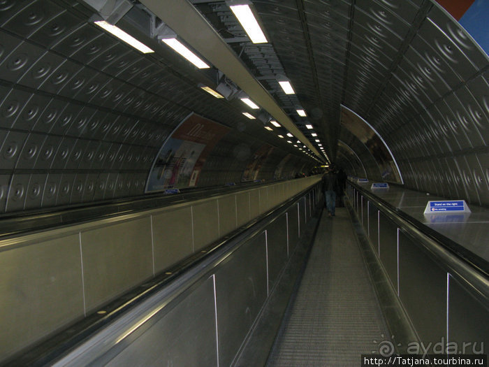 А также огни ночного Лондона, дождь и пеликан...