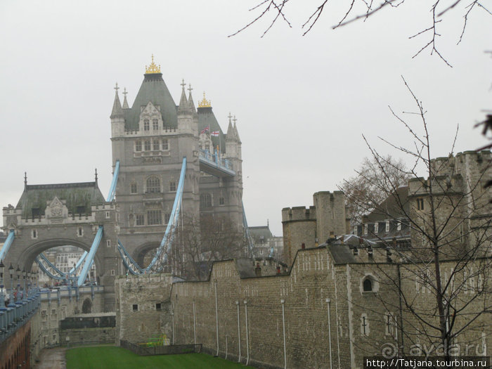 А также огни ночного Лондона, дождь и пеликан...
