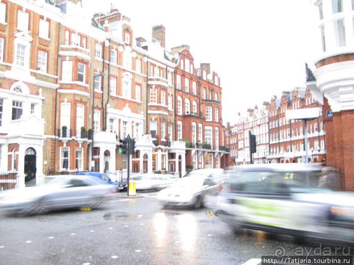 А также огни ночного Лондона, дождь и пеликан...