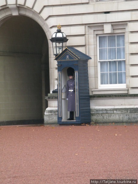 А также огни ночного Лондона, дождь и пеликан...