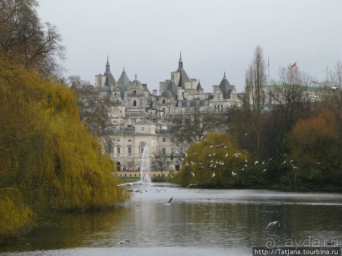 А также огни ночного Лондона, дождь и пеликан...