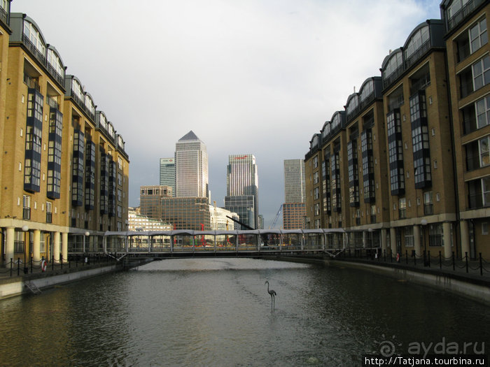 А также огни ночного Лондона, дождь и пеликан...