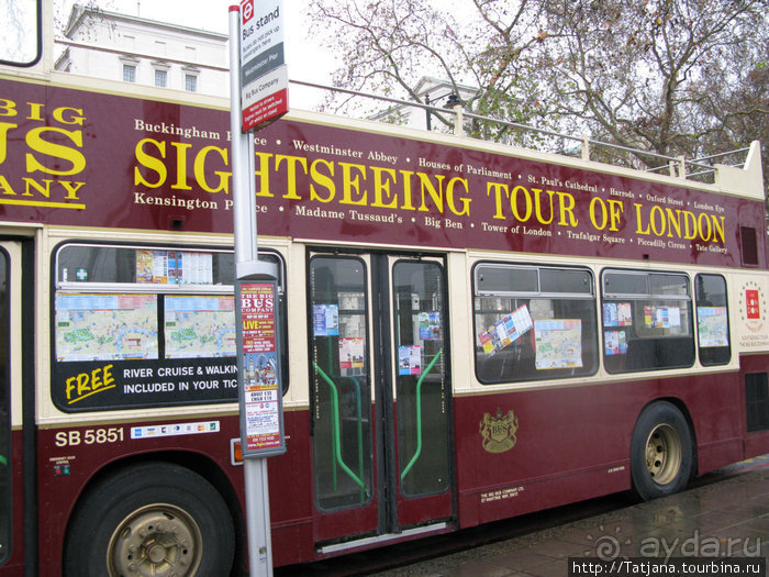 А также огни ночного Лондона, дождь и пеликан...