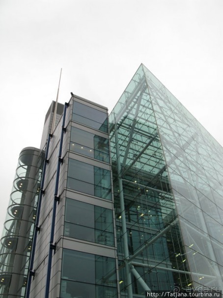 А также огни ночного Лондона, дождь и пеликан...