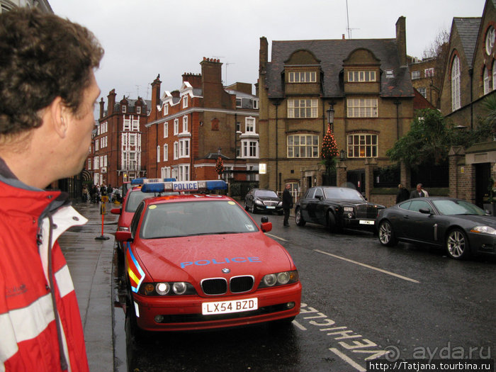 А также огни ночного Лондона, дождь и пеликан...
