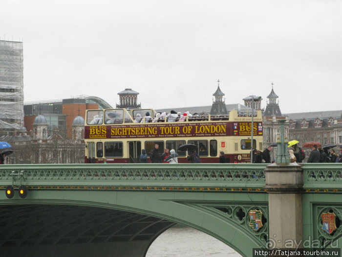 А также огни ночного Лондона, дождь и пеликан...