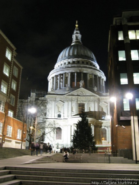 А также огни ночного Лондона, дождь и пеликан...