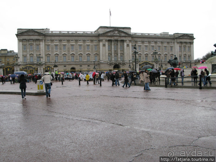 А также огни ночного Лондона, дождь и пеликан...