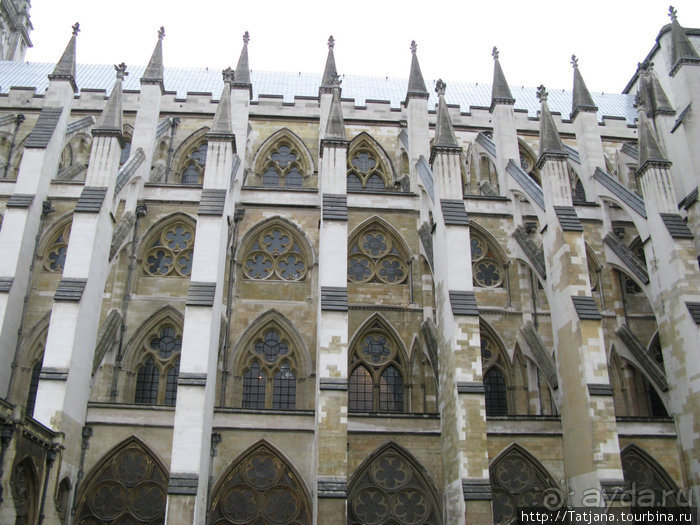 А также огни ночного Лондона, дождь и пеликан...