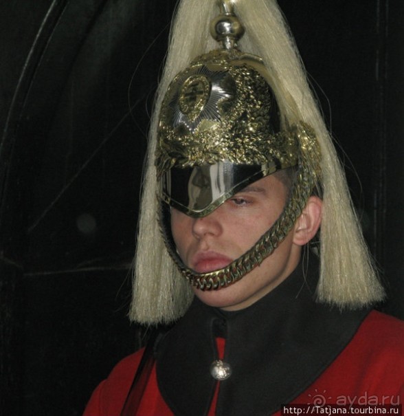 А также огни ночного Лондона, дождь и пеликан...