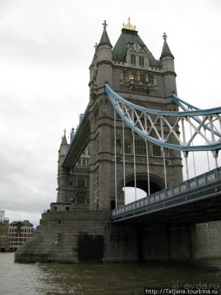 А также огни ночного Лондона, дождь и пеликан...