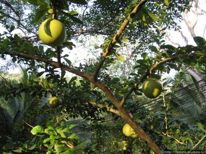 Отель на реке Kwai