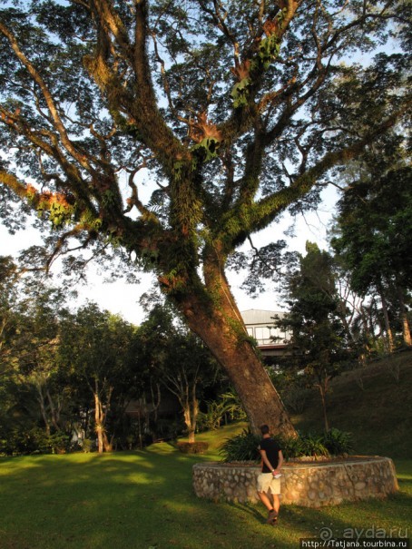 Отель на реке Kwai