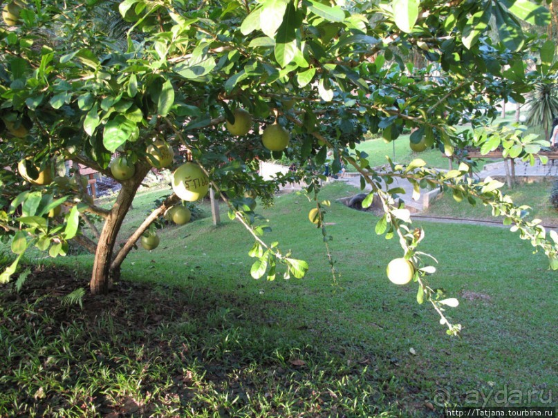 Отель на реке Kwai