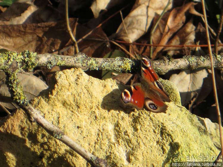 Прогулка по мергельным катакомбам "Caestert"