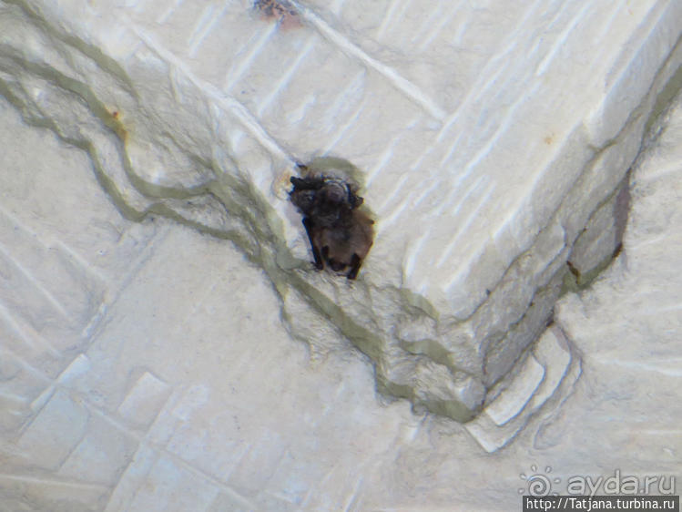 Прогулка по мергельным катакомбам "Caestert"