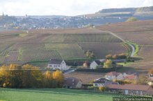 Настоящее Шампанское и немного деталей.