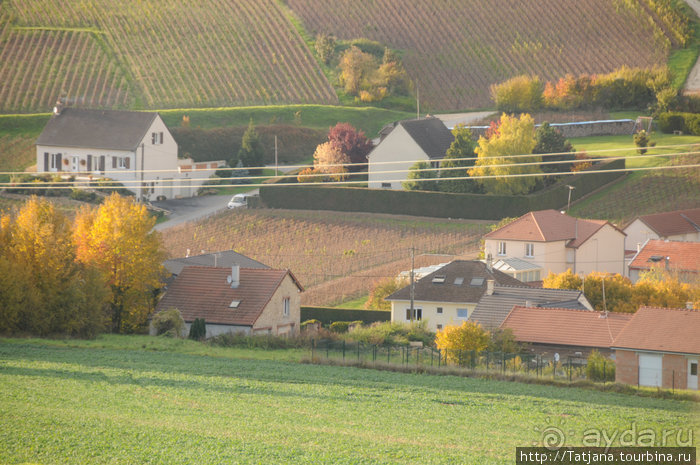 Настоящее Шампанское и немного деталей.