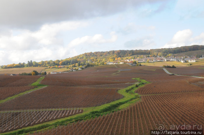 Настоящее Шампанское и немного деталей.