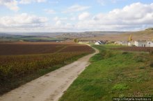 Настоящее Шампанское и немного деталей.